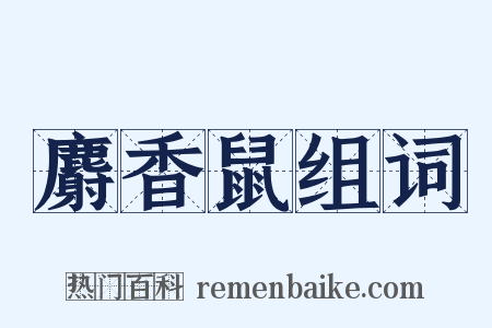 麝香鼠组词是什么意思的图片